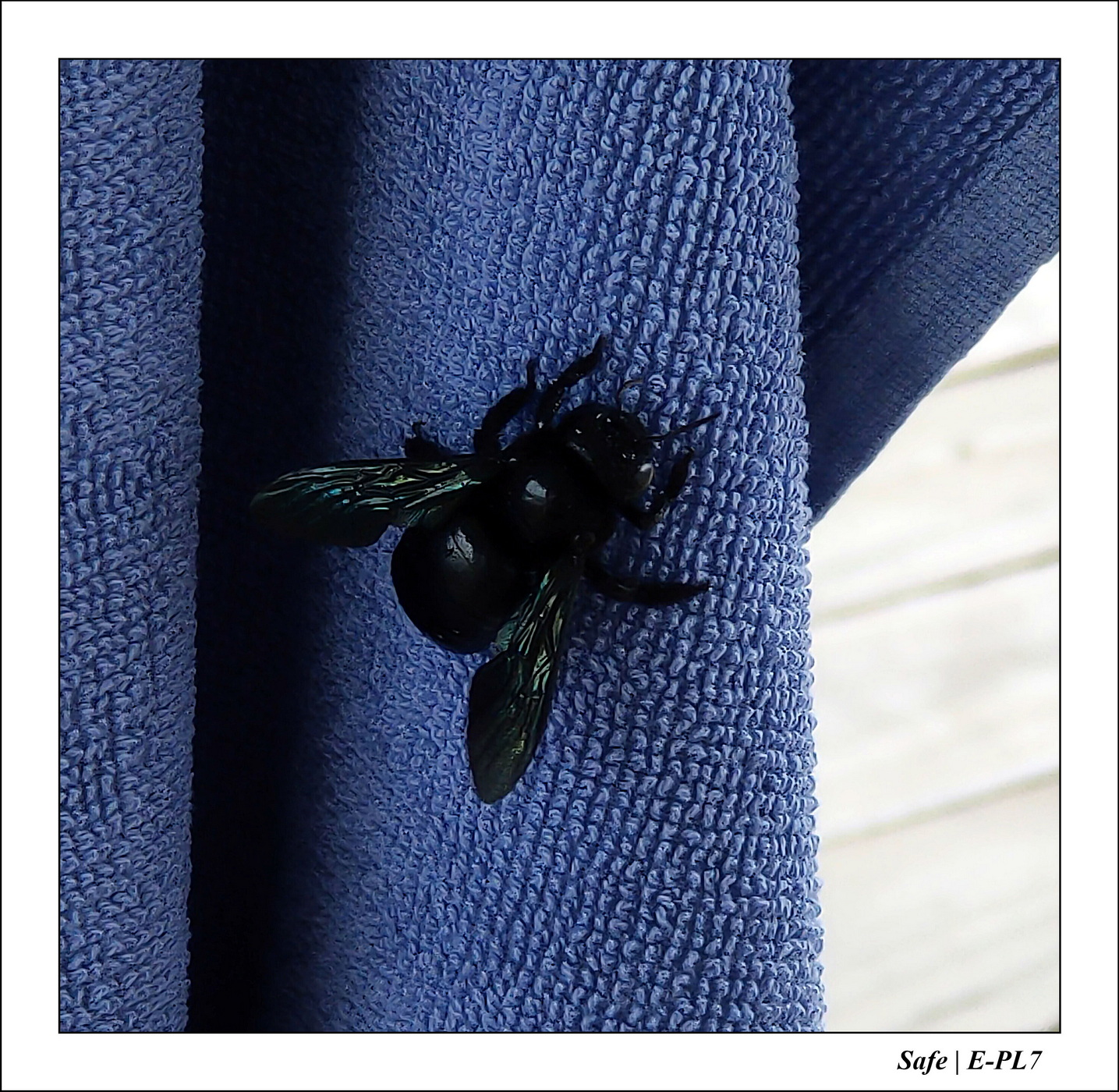 2023 - 07 - Sandies Bathala - 020